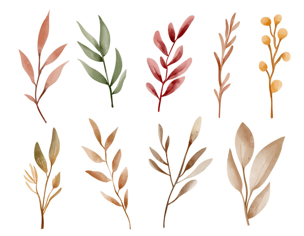 مجموعه گیاهان پاییزی با آبرنگ. عناصر گیاهی دستی برای طراحی فصلی