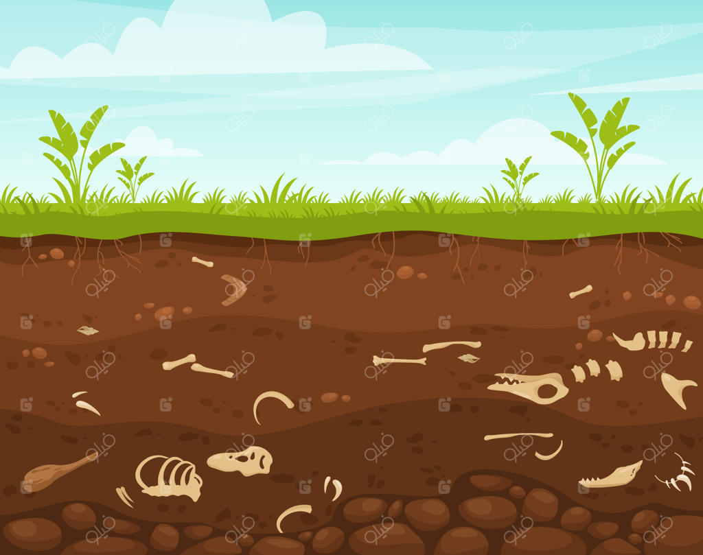 تصویرسازی باستان‌شناسی و دیرینه‌شناسی از سطح زیرزمینی با استخوان‌های دایناسور