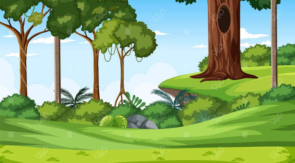 منظره طبیعی با درختان و صخره