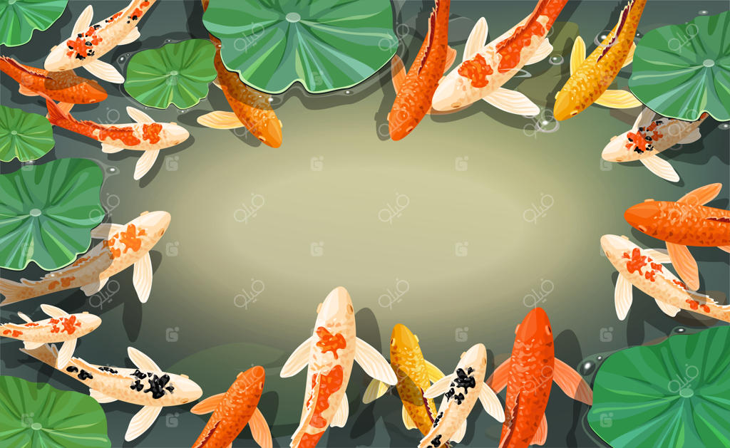 قاب ماهی کپور کوی کارتونی