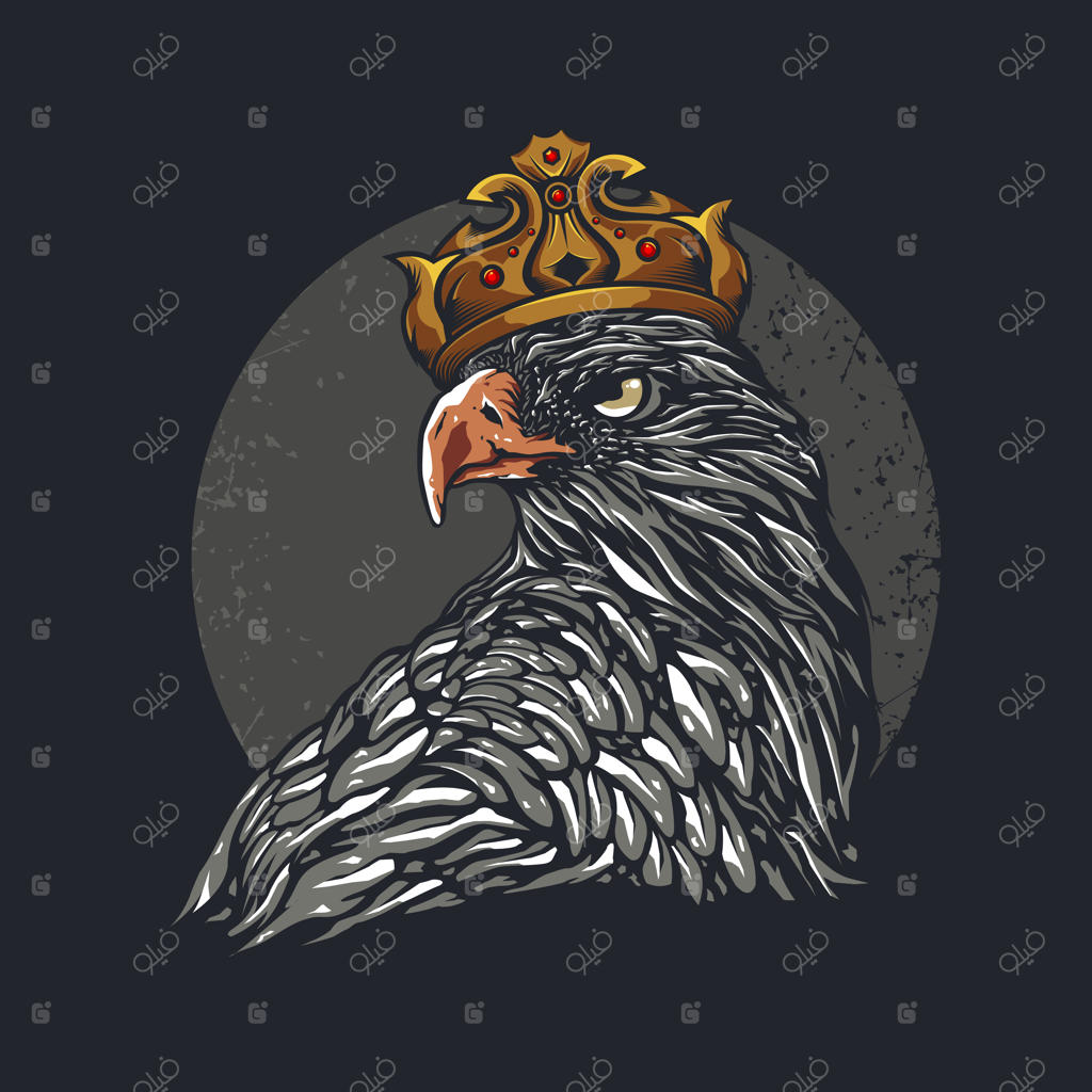 تصویرسازی سر عقاب