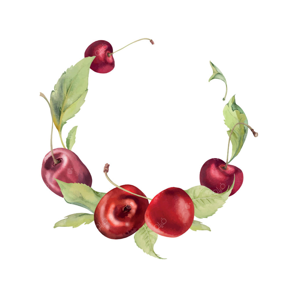 گیلاس‌های ترش و شیرین قرمز با برگ‌های سبز، نقاشی دستی با آبرنگ، میوه‌های رسیده باغی به صورت خوشه‌ای روی شاخه‌ها. تصویر حلقه‌ای گل‌آرایی برای منوی کافه، رستوران، عروسی یا بازار کشاورزان.