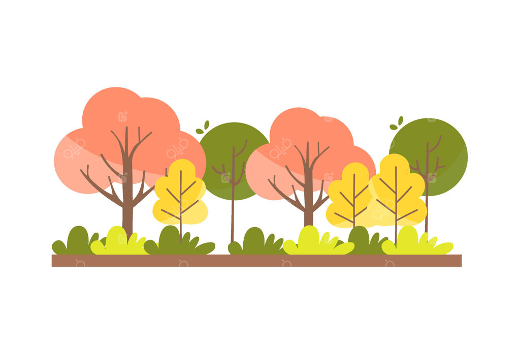 تصویر منظره پاییزی جنگل با درختان رنگارنگ