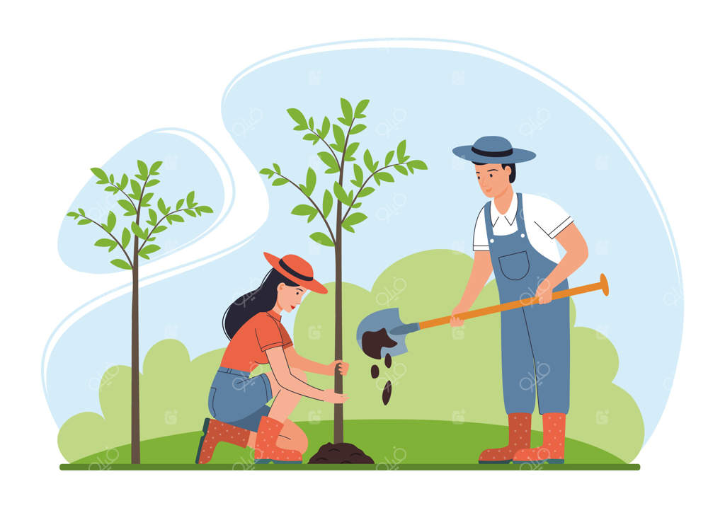 کشاورزان در حال کاشت درخت در باغ روستایی.
