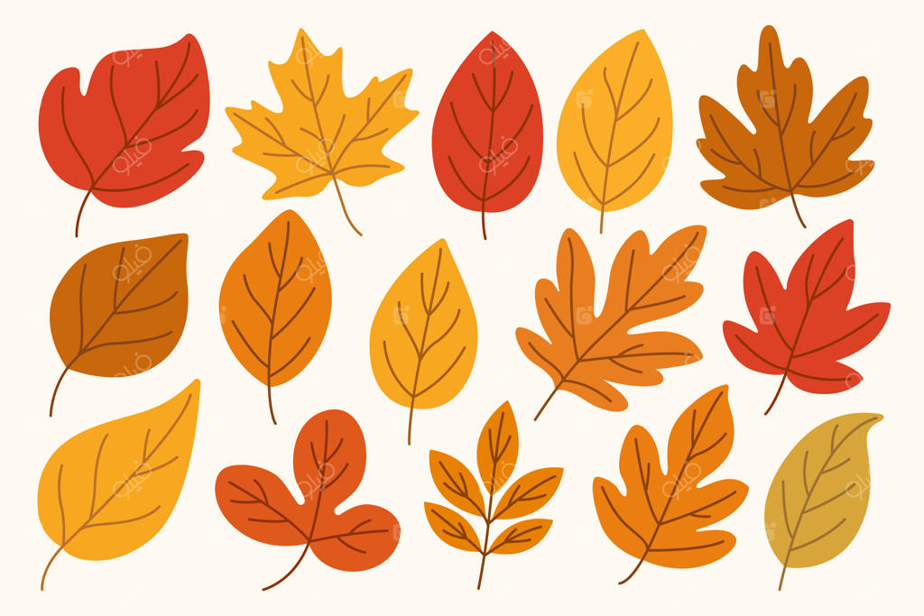 مجموعه ساده برگ‌های پاییزی: برگ‌های رنگارنگ پاییزه در رنگ‌های قرمز، نارنجی و زرد برای طراحی‌های فصلی، بنرها، پوسترها، کارت‌های تبریک و اسکرپ‌بوکینگ