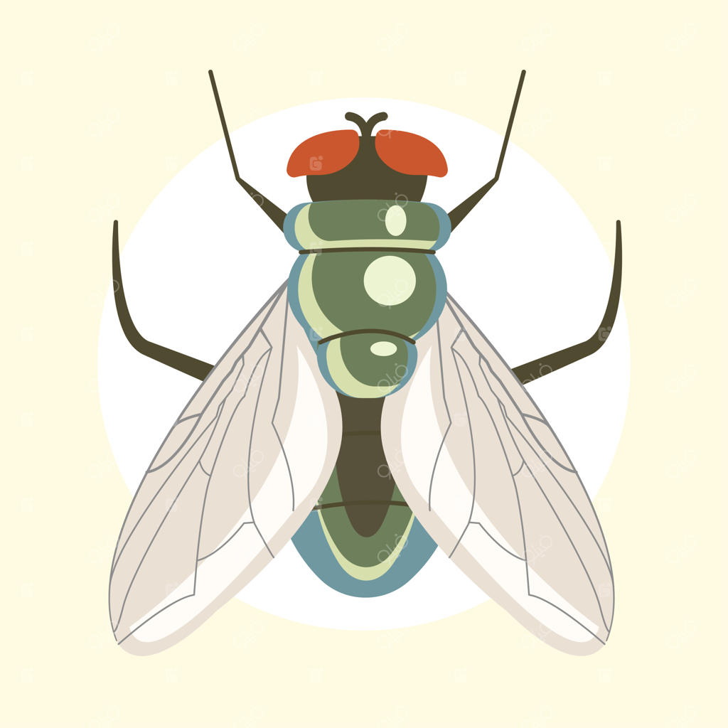تصویرسازی وکتور تخت مگس چشم‌قرمز