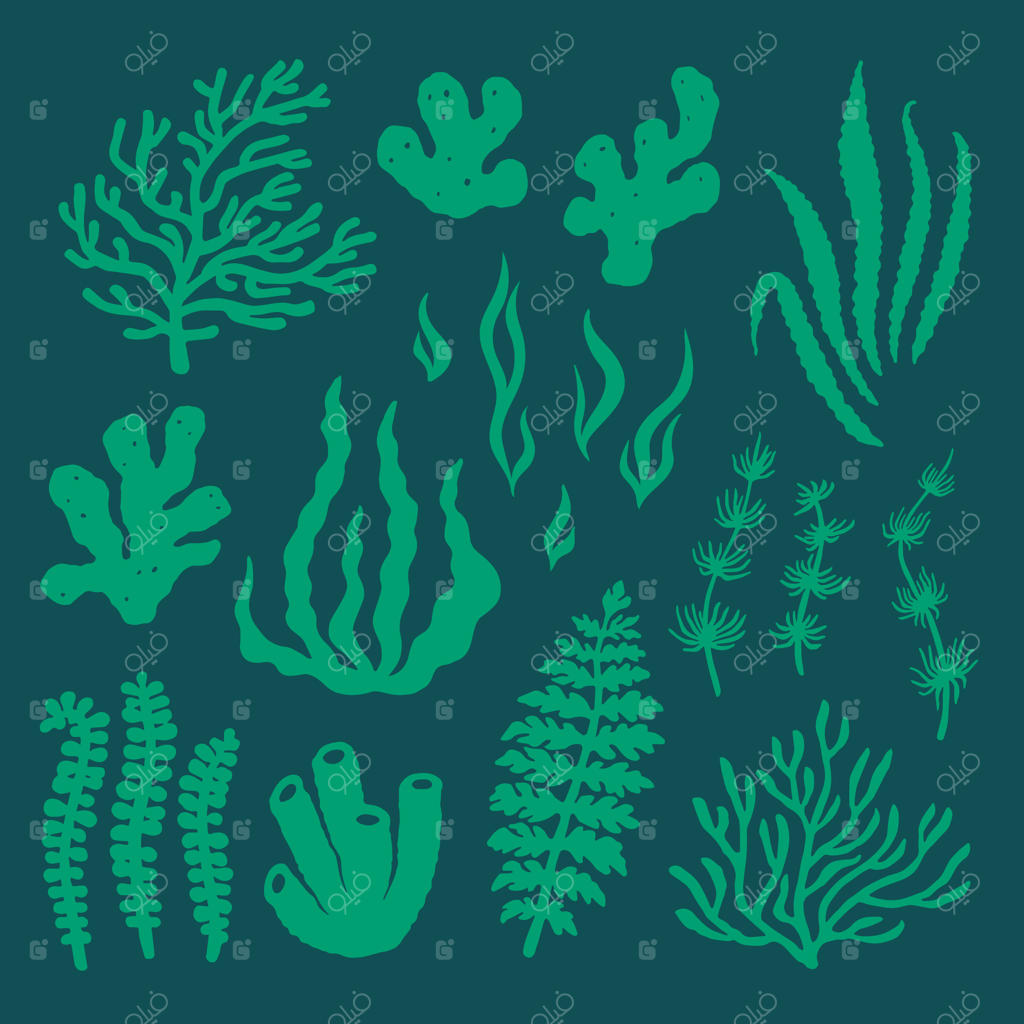 مجموعه گرافیکی تابستانی از سیلوئت‌های دریایی و زیر آب