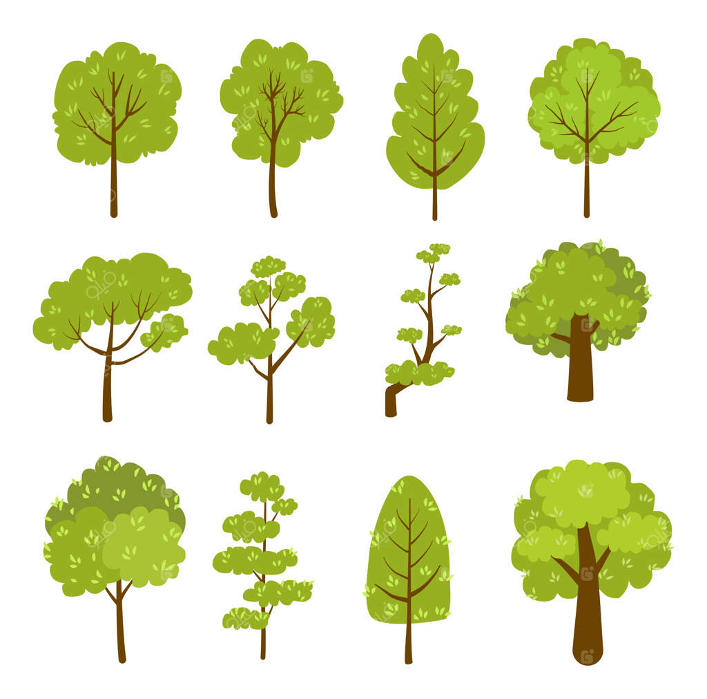مجموعه‌ای از گیاهان و درختان