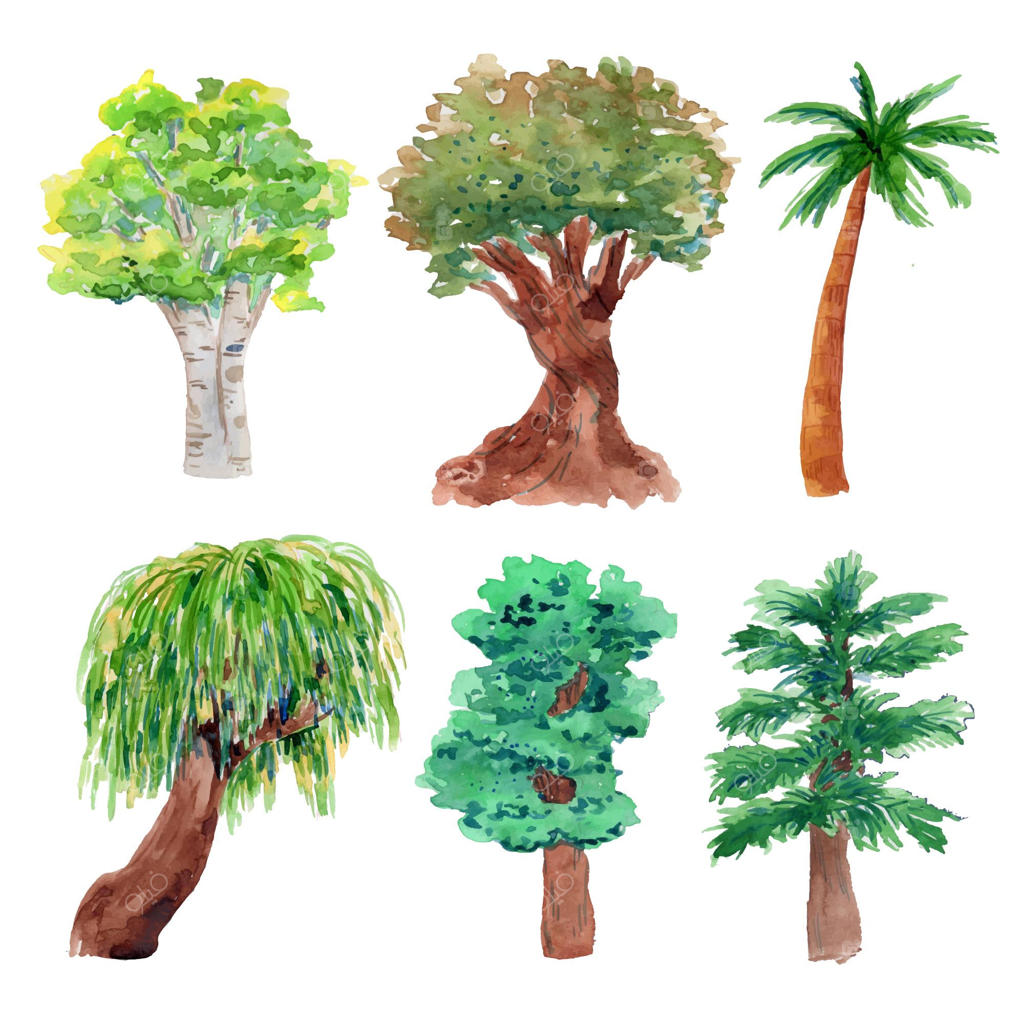 گونه‌های درختان در نقاشی آبرنگی
