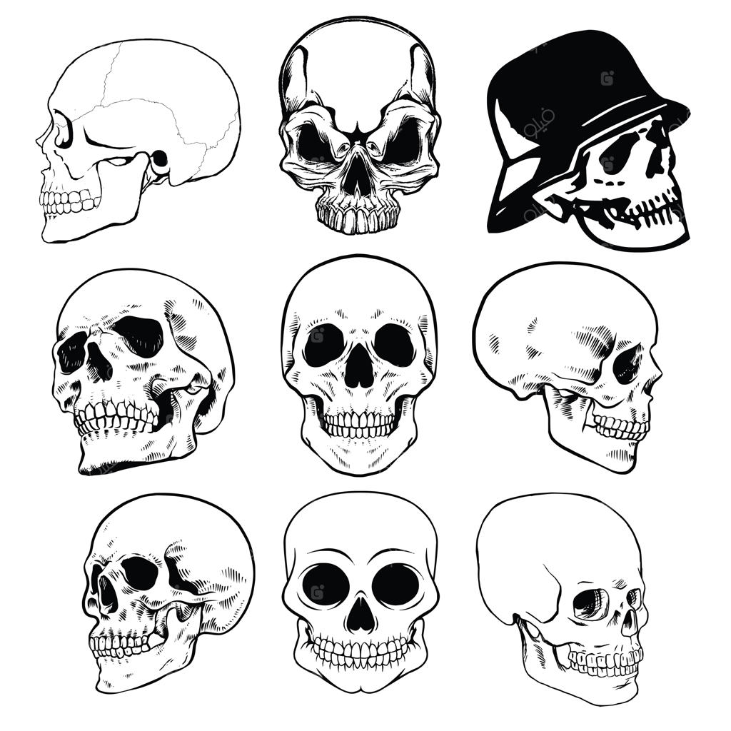 مجموعه وکتور جمجمه و استخوان سیاه و سفید روی پس‌زمینه سفید