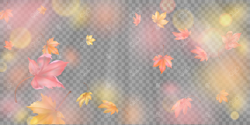 برگ‌های افرا در حال پرواز در پاییز: پس‌زمینه‌ای انتزاعی از پاییز