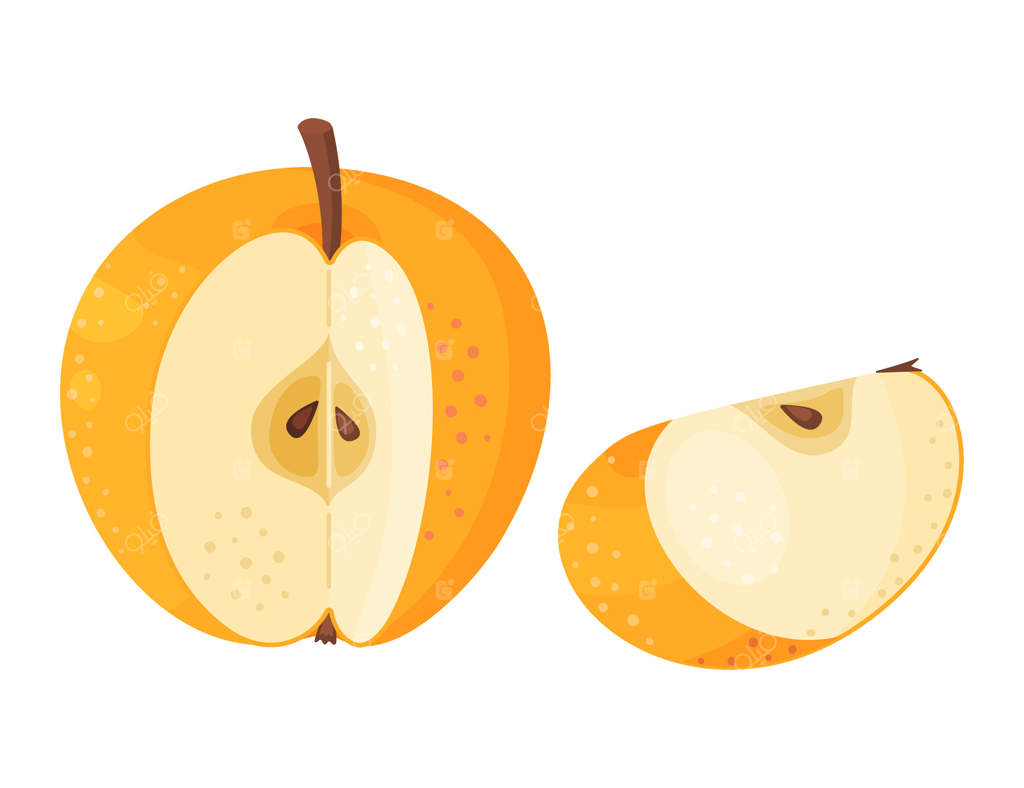 سیب طلایی رسیده: برش‌های سیب و قطعات سیب تازه از باغ. نقاشی دستی از میوه سیب به سبک تخت، مخصوص طراحی‌ها و وب‌سایت‌ها. تصویرسازی سیب گلدن دلیشز