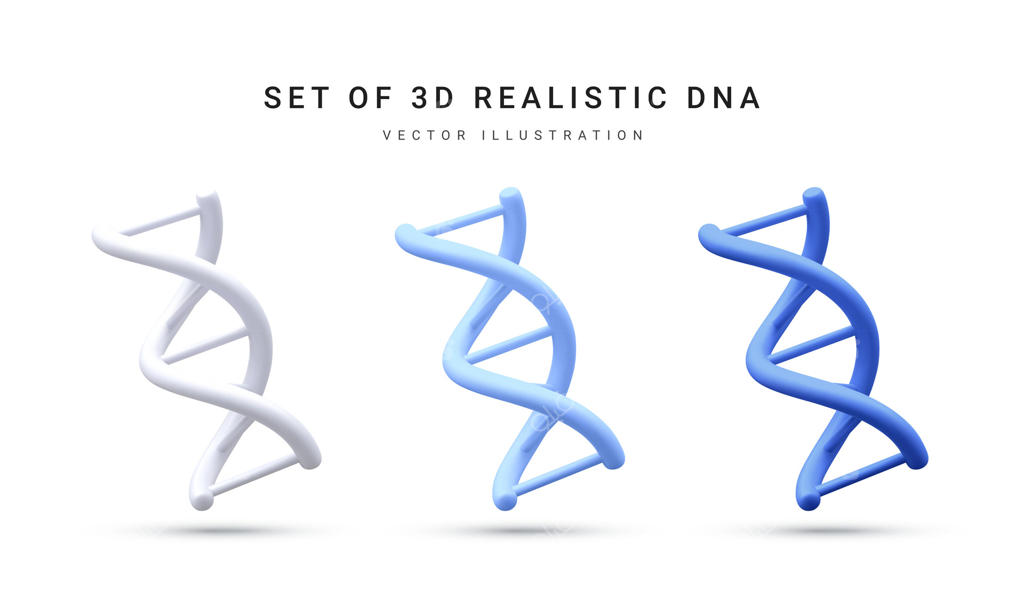 مجموعه وکتور سه بعدی و واقع‌گرایانه مارپیچ DNA پزشکی با سبک کارتونی، مناسب برای شیمی مولکولی، فیزیک و بیوشیمی، جداشده در پس‌زمینه سفید