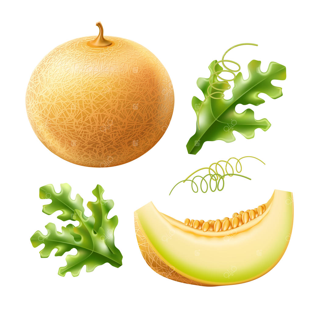 ملون گرد و واقع‌گرایانه با برش‌های شیرین و لذیذ