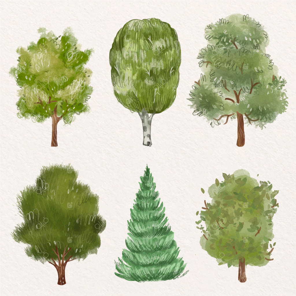 مجموعه نقاشی آبرنگی از درختان