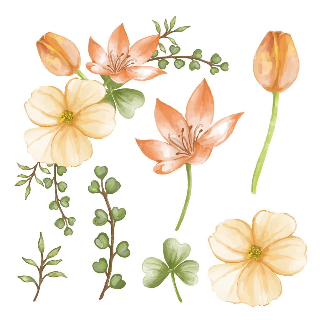 دسته گل زیبا و برگ‌ها برای تزئین به سبک آبرنگی