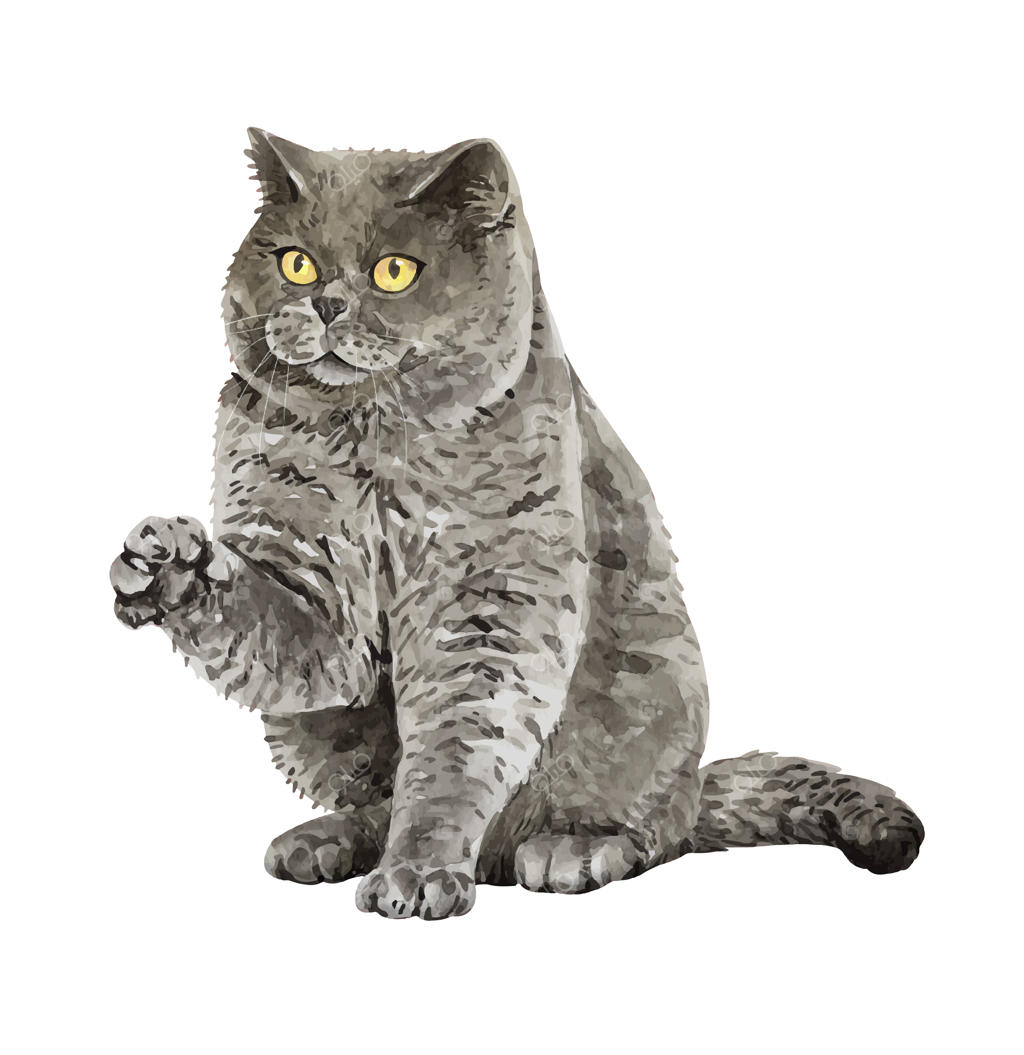 گربه بریتیش شورت هیر با دست‌های بلند در نقاشی آبرنگ.