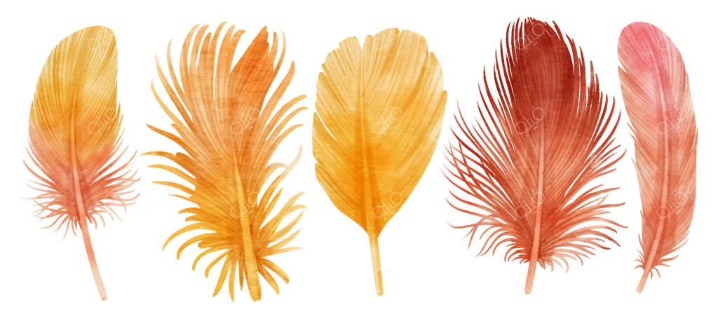 طرح آبرنگی زیبا و رنگارنگ پرها برای عنصر دکوراتیو