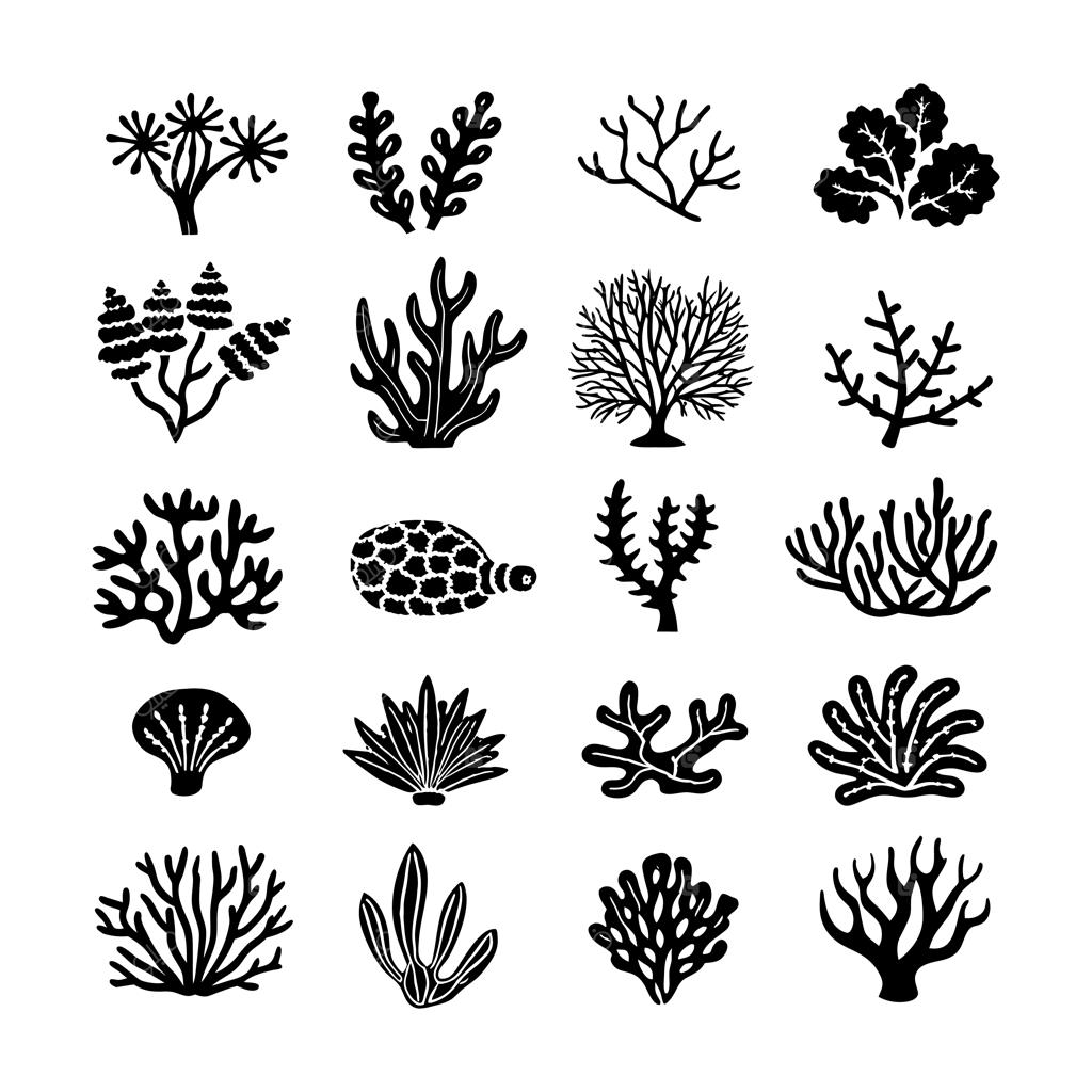 تصویرسازی وکتور صخره‌های مرجانی