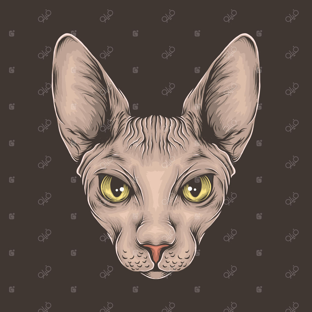نقاشی دستی تصویر وکتور سر گربه اسفینکس کلاسیک