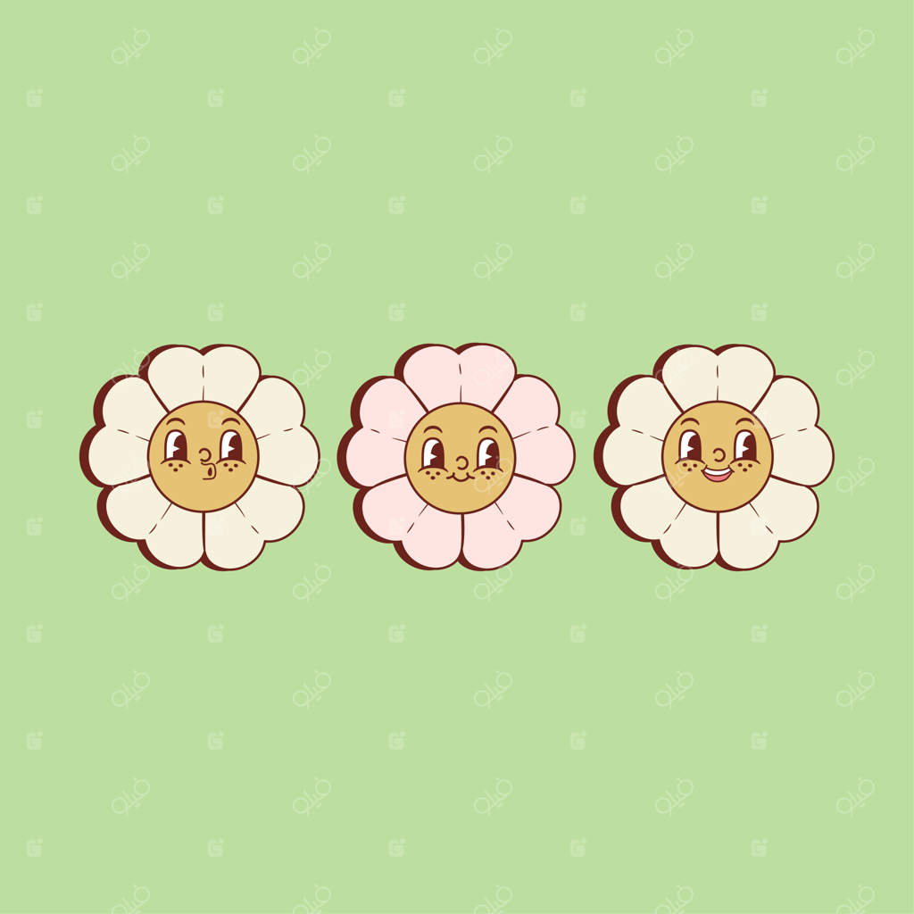 تصویر نوستالژیک و جذاب از گل‌های بابونه خندان