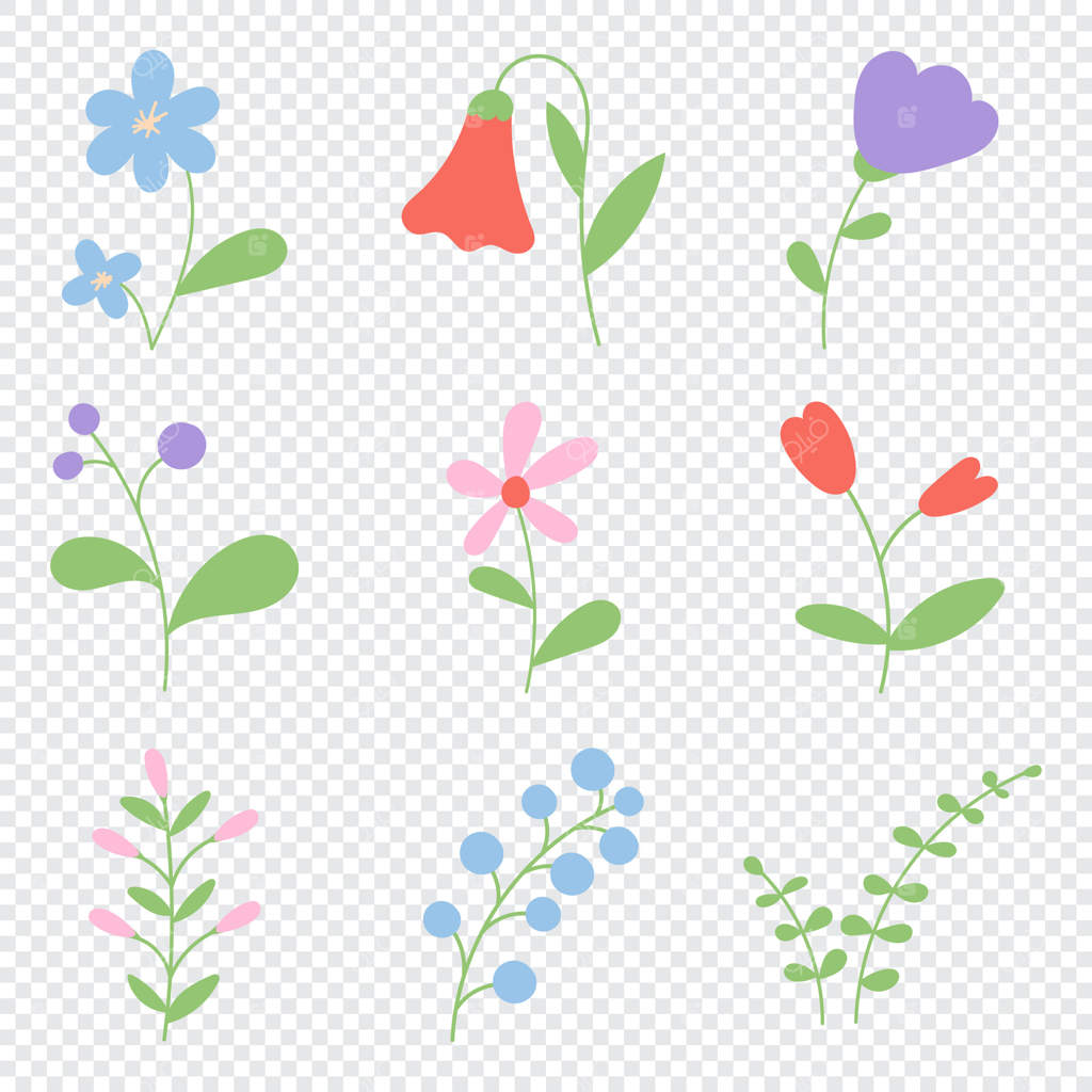 مجموعه‌ای از گل‌های دست‌کشیده تابستانی. گل‌های وحشی و برگ‌ها. عناصر گل و گیاه باغ. تصویرسازی مسطح.