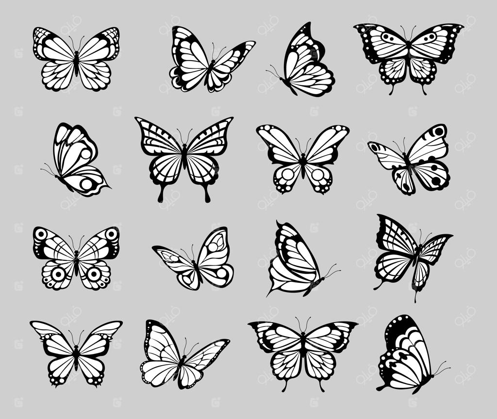 طرح‌های گرافیکی و تزیینی سیلوئت پروانه‌های سیاه به سبک حکاکی و تاتو