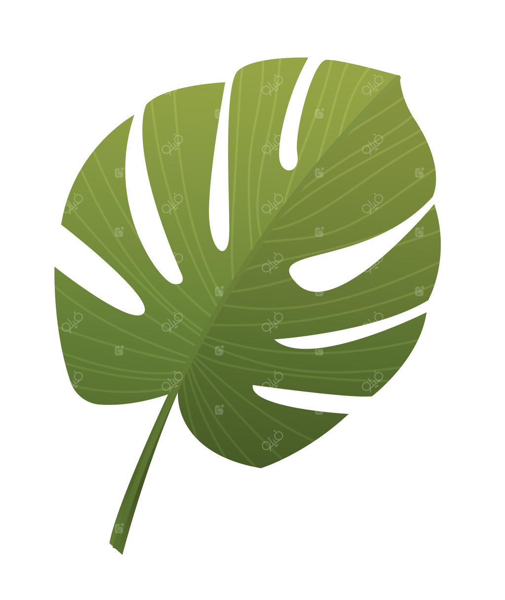 نماد گیاهان گرمسیری