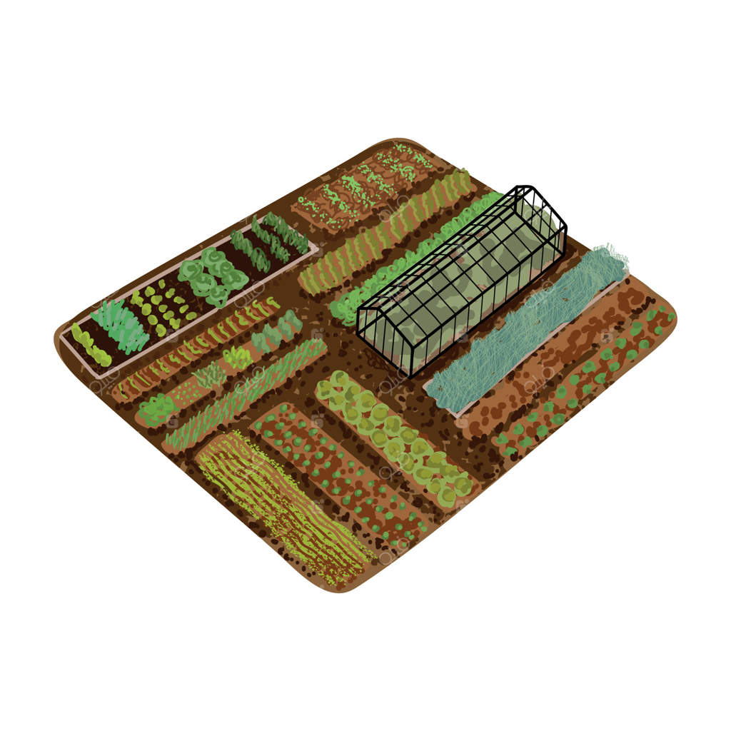 تصویر رنگارنگ از باغ بر روی پس‌زمینه سفید