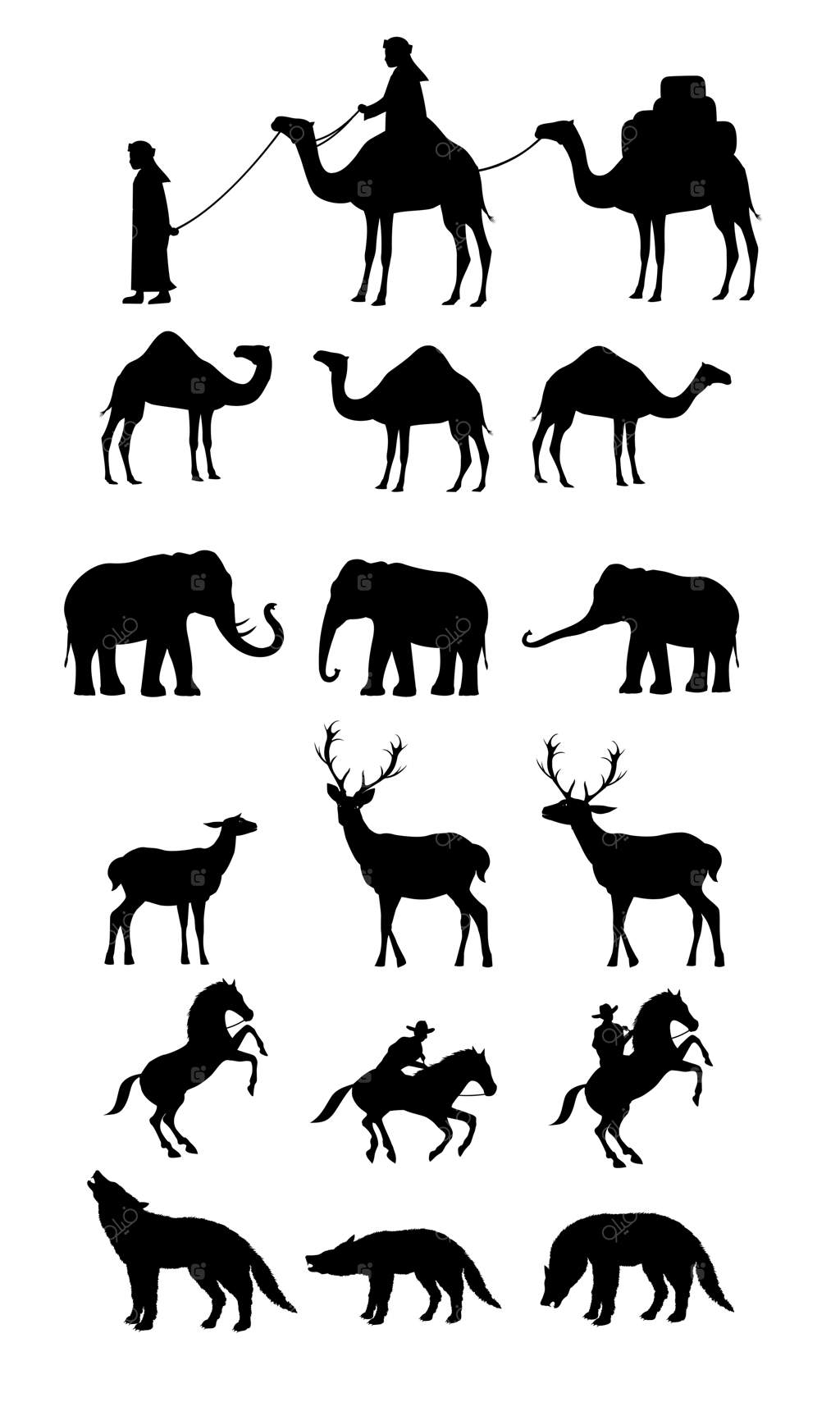 شتر، اسب، فیل و گوزن - تصویر جدا شده مشکی