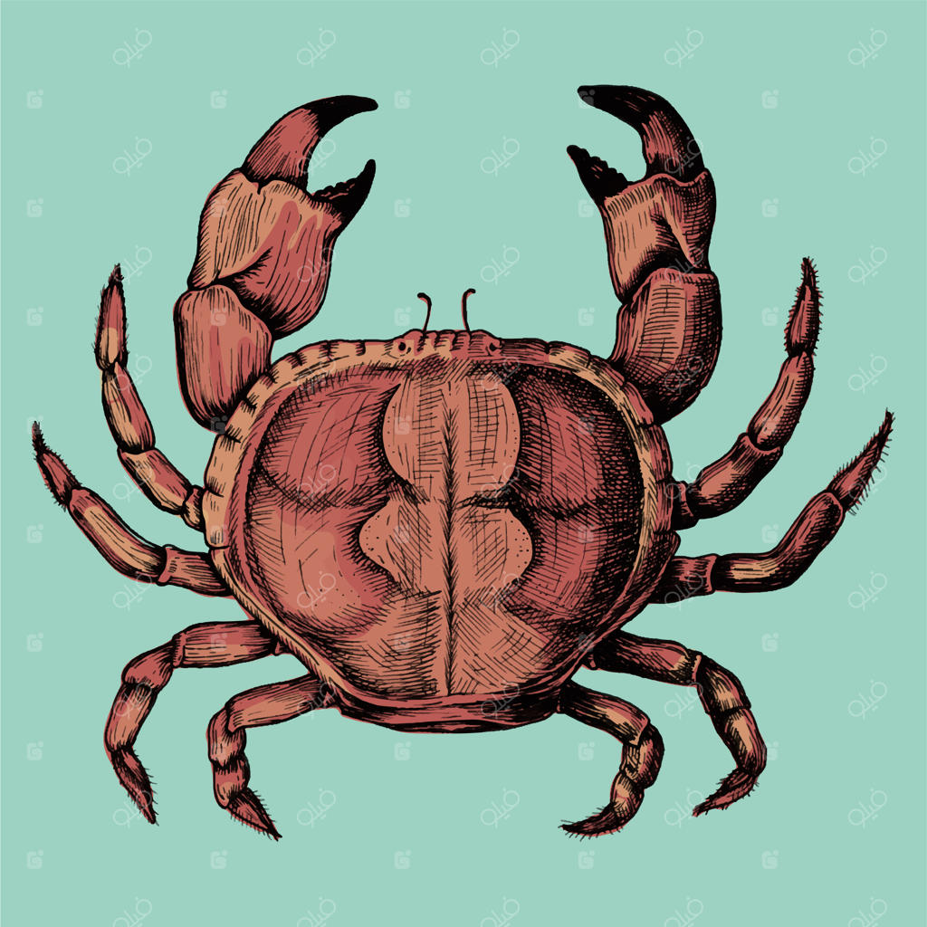 طرح دستی خرچنگ به‌صورت ایزوله شده