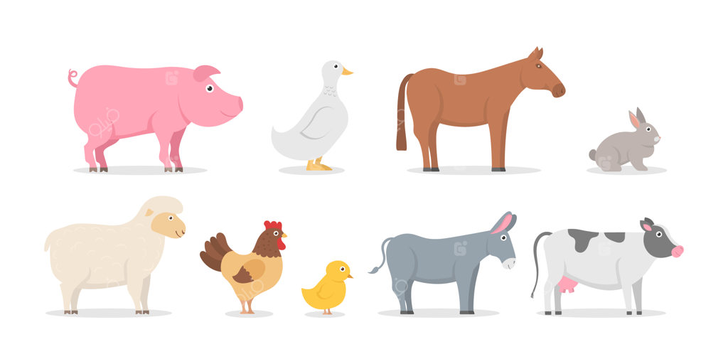 مجموعه حیوانات و پرندگان مزرعه با سبک طراحی تخت و مدرن