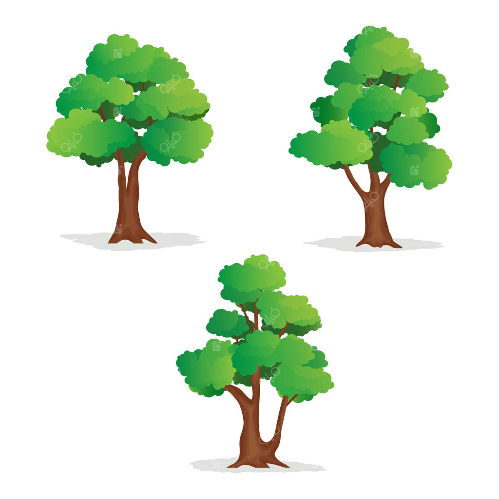 مجموعه‌ای از تصاویر درختان مجزا بر روی پس‌زمینه سفید.