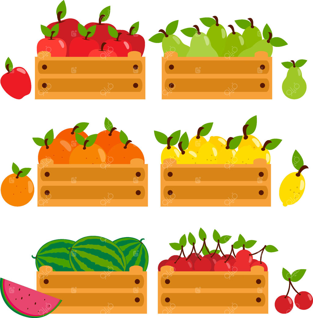 تولیدات بازار کشاورزان، برداشت میوه در جعبه‌ها. سیب، گلابی، لیمو، گیلاس، پرتقال و هندوانه. مجموعه جعبه‌های چوبی با میوه‌های متنوع از باغ.