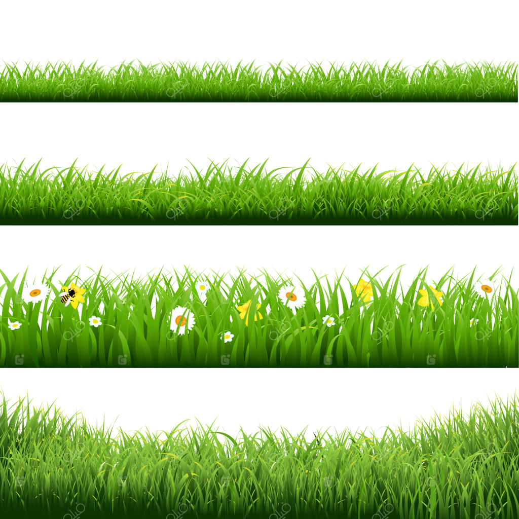 مجموعه تصویرسازی حاشیه چمن و گل‌ها