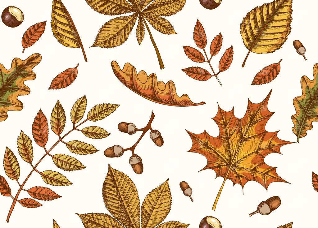 پترن یکپارچه پاییزی با برگ‌های دست‌کشیده افرا، توس، شاه‌بلوط، بلوط، زبان‌گنجشک، روی زمینه مشکی. طراحی برای کاغذ دیواری