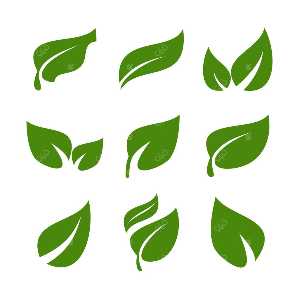 مجموعه وکتور پریمیوم طرح لوگوی برگ‌های سبز جدا شده