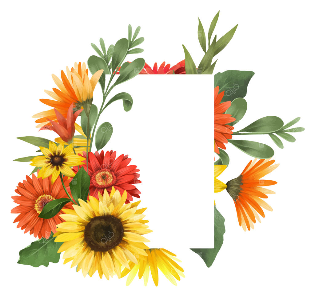 قاب گل‌های ژربرا و آفتابگردان در پاییز