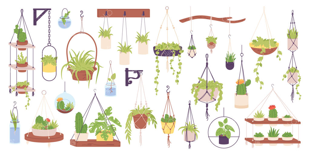 گیاهان آپارتمانی در گلدان‌های آویز: کاکتوس، فیکوس، و گل‌های زینتی برای دکوراسیون داخلی دفتر و منزل، طرح وکتور شیک و جذاب برای آویزان کردن گیاهان