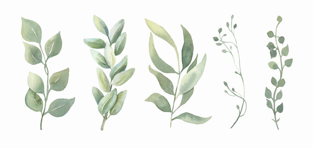 مجموعه برگ‌های سبز آبرنگی.