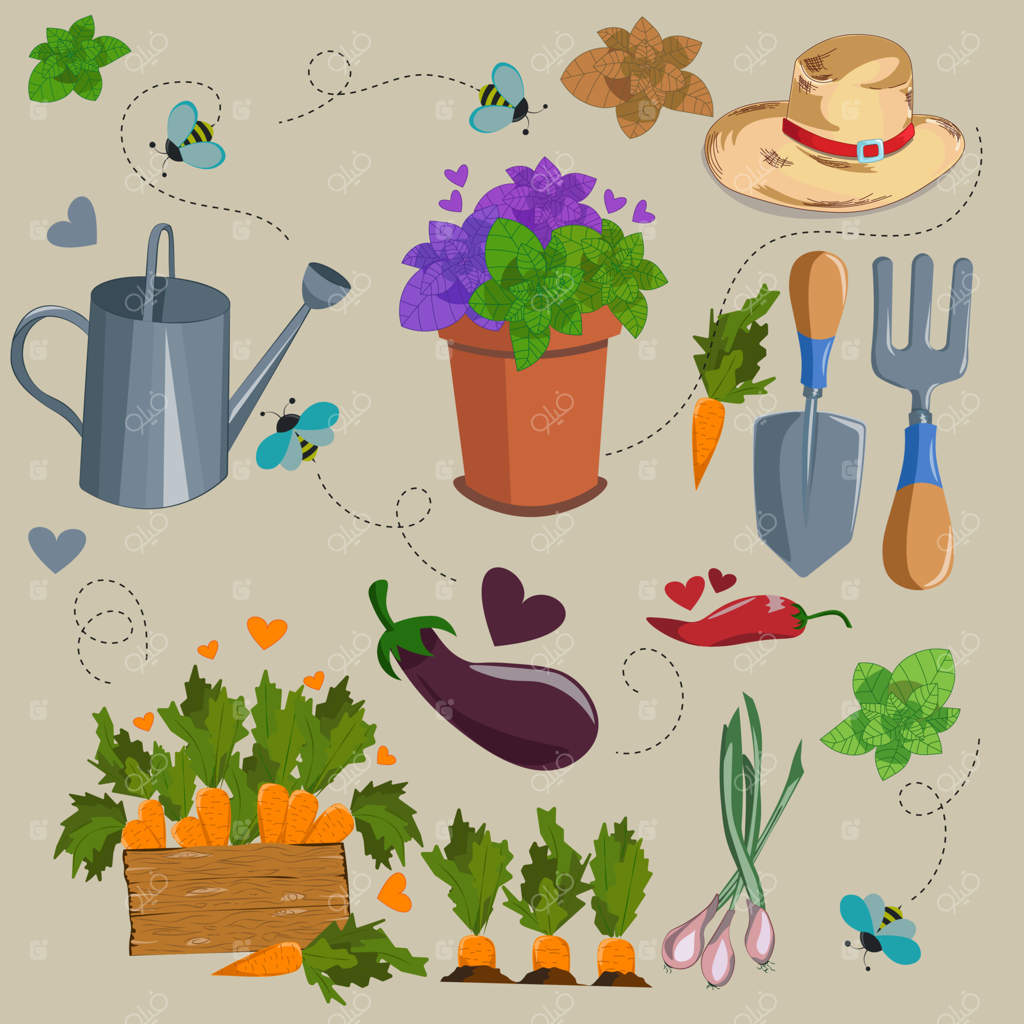 ست شاد و زیبا برای باغبانی: ابزار باغبانی، چنگک‌ها، تجهیزات و مجموعه گیاهان، جعبه‌های چوبی، سبزیجات به صورت جداگانه. تصویرسازی وکتور کشاورزی برای بهار و تابستان. باغبانی یا زراعت.