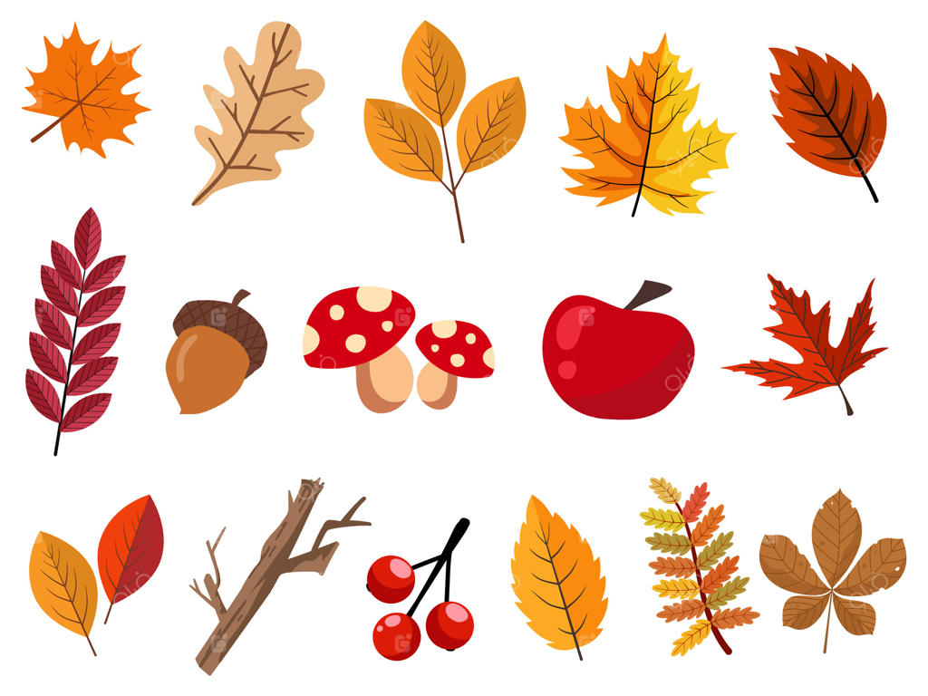 تصویر حرفه‌ای وکتور برگ‌های پاییزی رنگارنگ و عناصر طبیعی