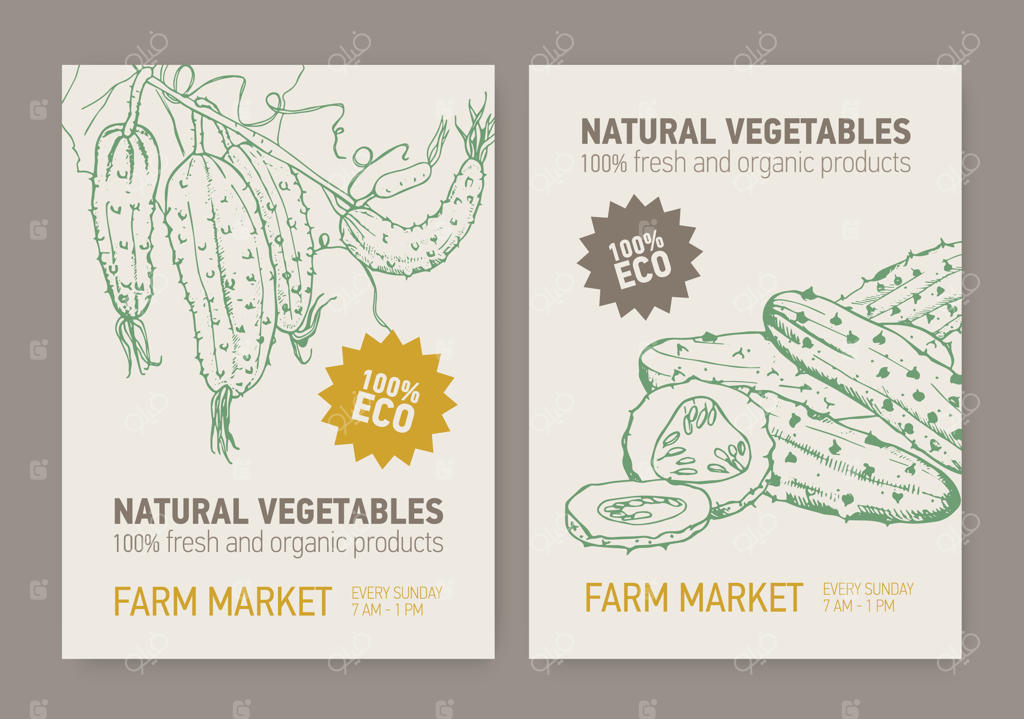 مجموعه‌ای از قالب‌های پوستر با تصاویر خیار قاچ‌خورده و خیار روی شاخه‌ی بوته