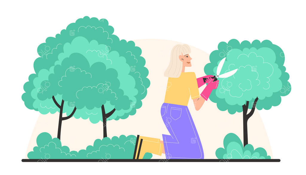 پیرزنی با قیچی باغبانی به هرس بوته‌های باغ می‌پردازد.