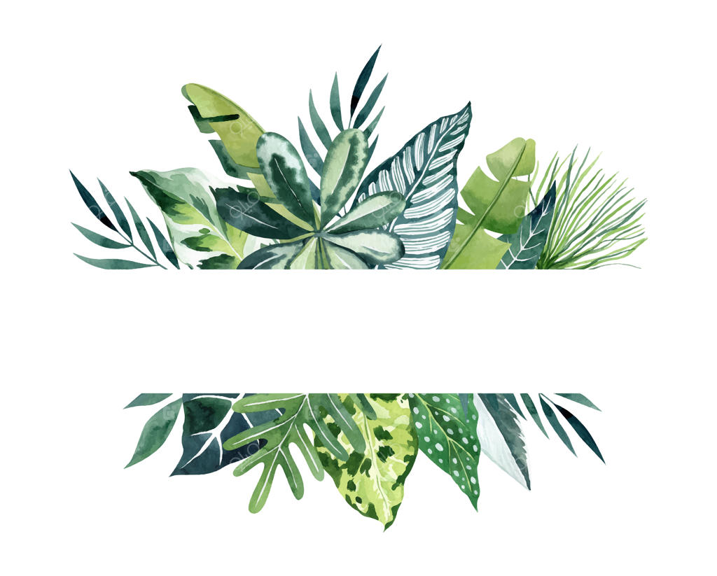 قاب مستطیل با فضای سفید و برگ‌های گرمسیری آبرنگی