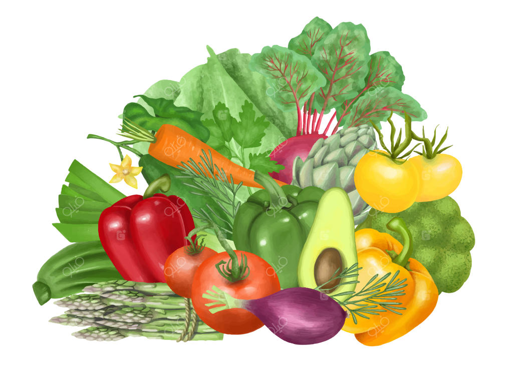 تصویرسازی سبزیجات (گوجه‌فرنگی، هویج، آووکادو، فلفل، خیار، کنگر فرنگی، کلم بروکلی، کلم، مارچوبه)، طراحی دستی