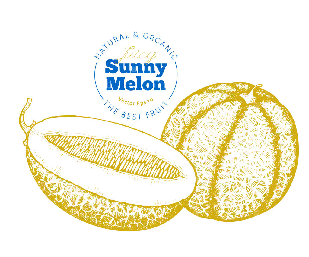 هندوانه‌ی کامل و نیمه‌ی هندوانه.