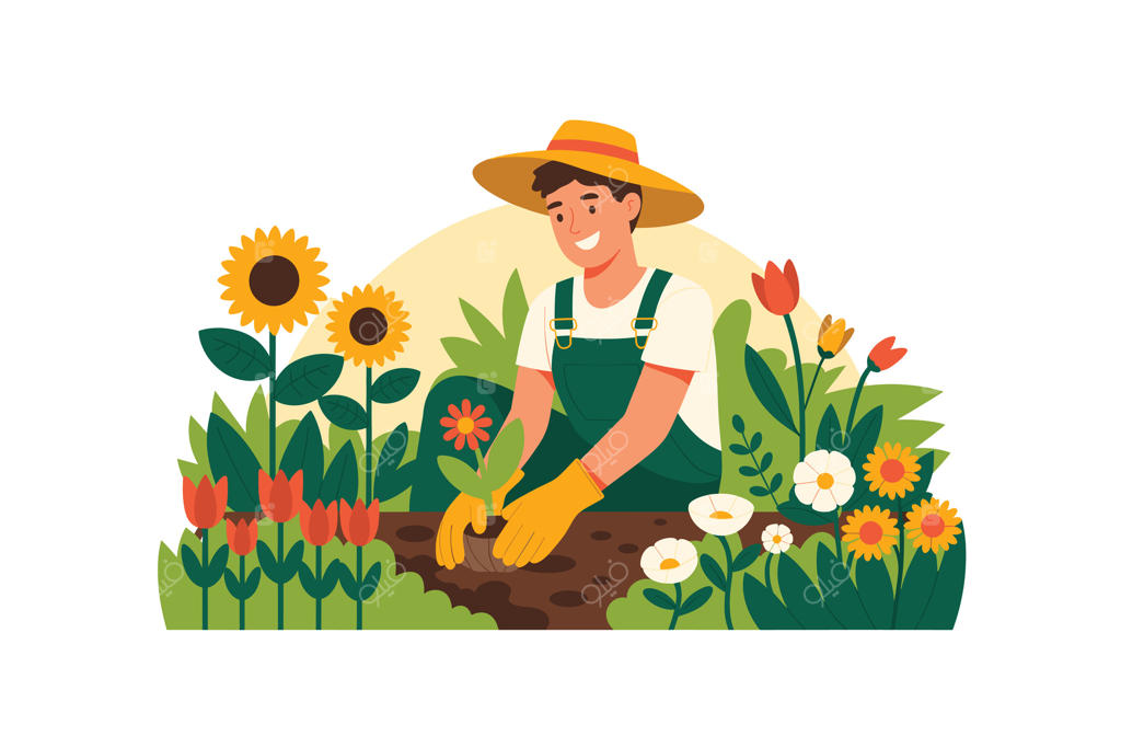 تصویرسازی باغبان شاد در حال کاشت گل در فصل بهار؛ مردی با لباس سرهمی در حال رسیدگی به گل‌های آفتابگردان و لاله با موضوع باغبانی و محوطه‌سازی