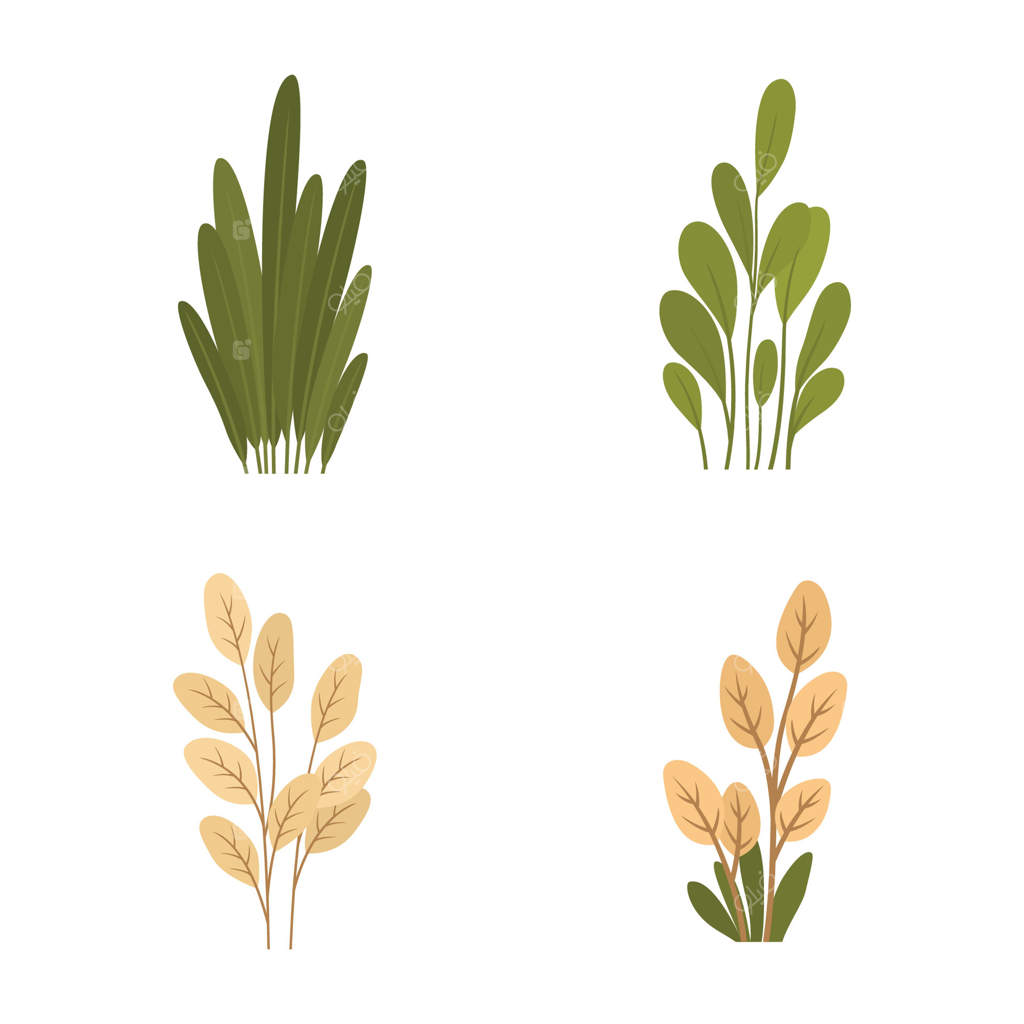 مجموعه‌ای از برگ‌های تازه و استوایی در باغ پارک