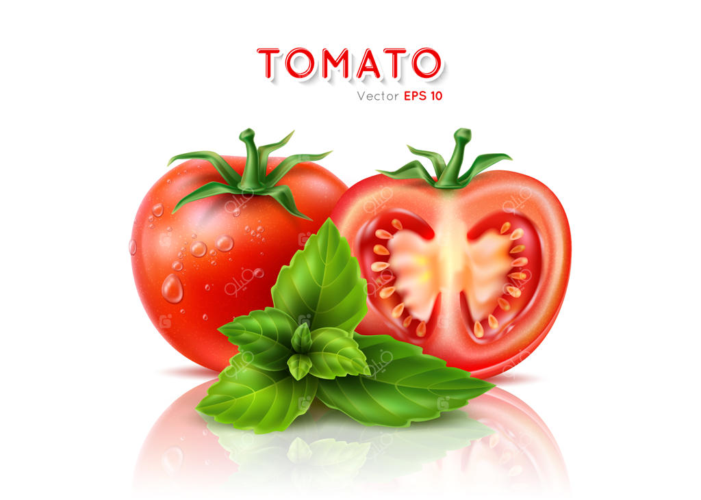 گوجه‌فرنگی رسیده به دو نیم شده